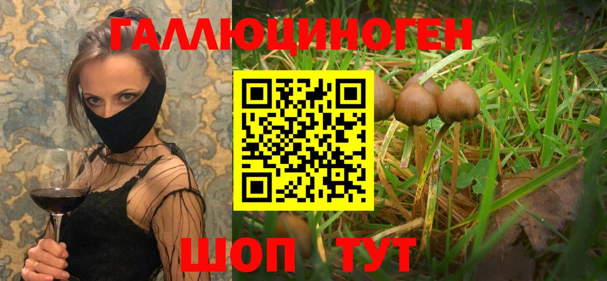 Кропоткин  Галлюциногенные грибы Cubensis  Галлюциногенные грибы GOLDEN TEACHER  Вход с VPN 