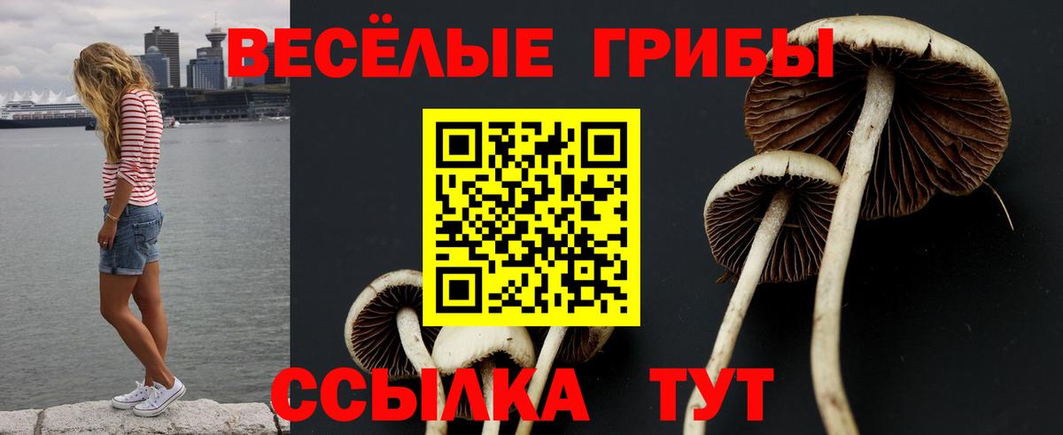 Галлюциногенные грибы MAGIC MUSHROOMS Кропоткин